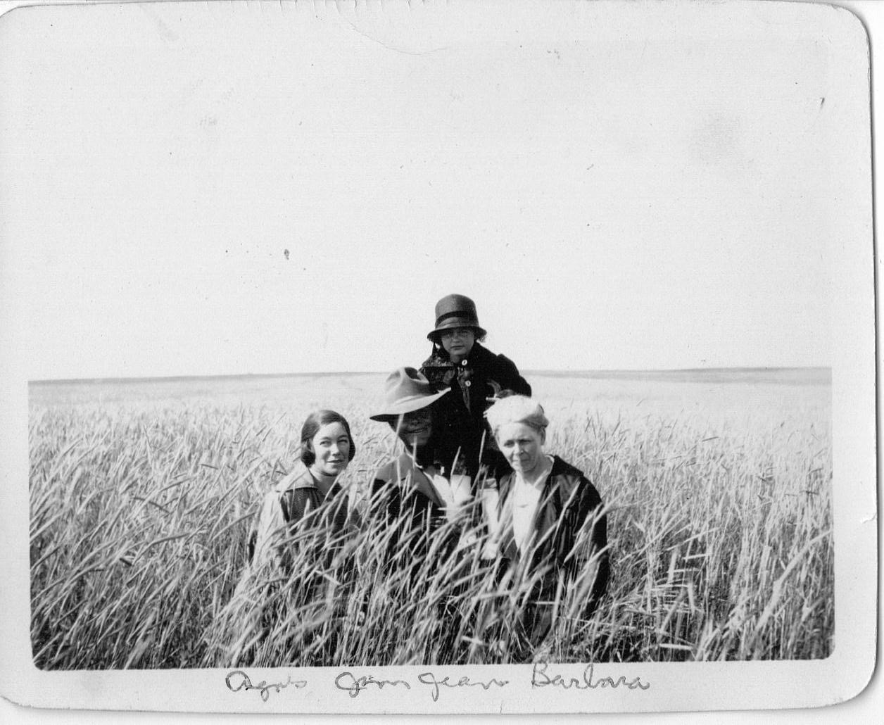 Wheat Field