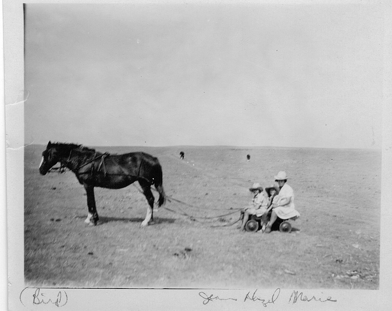 one adult and two kids sitting on tiny cart draged by the horse