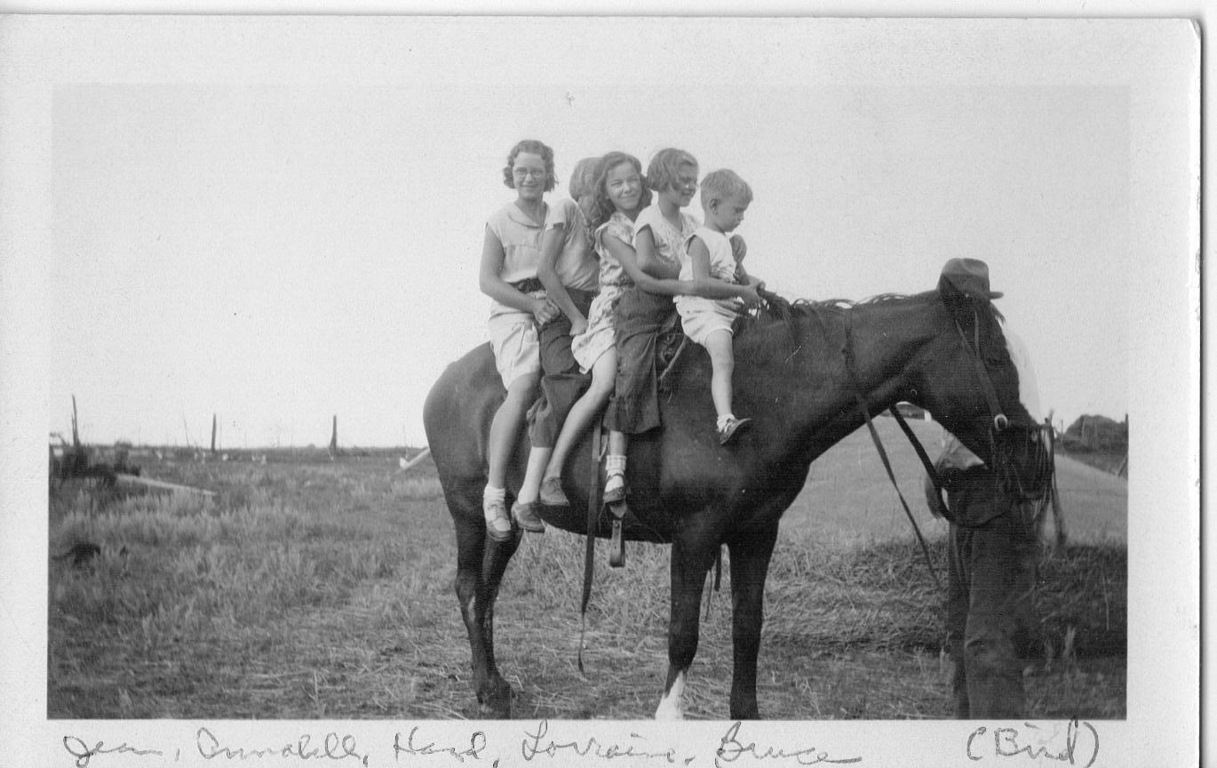 5 cousins on the back of the horse