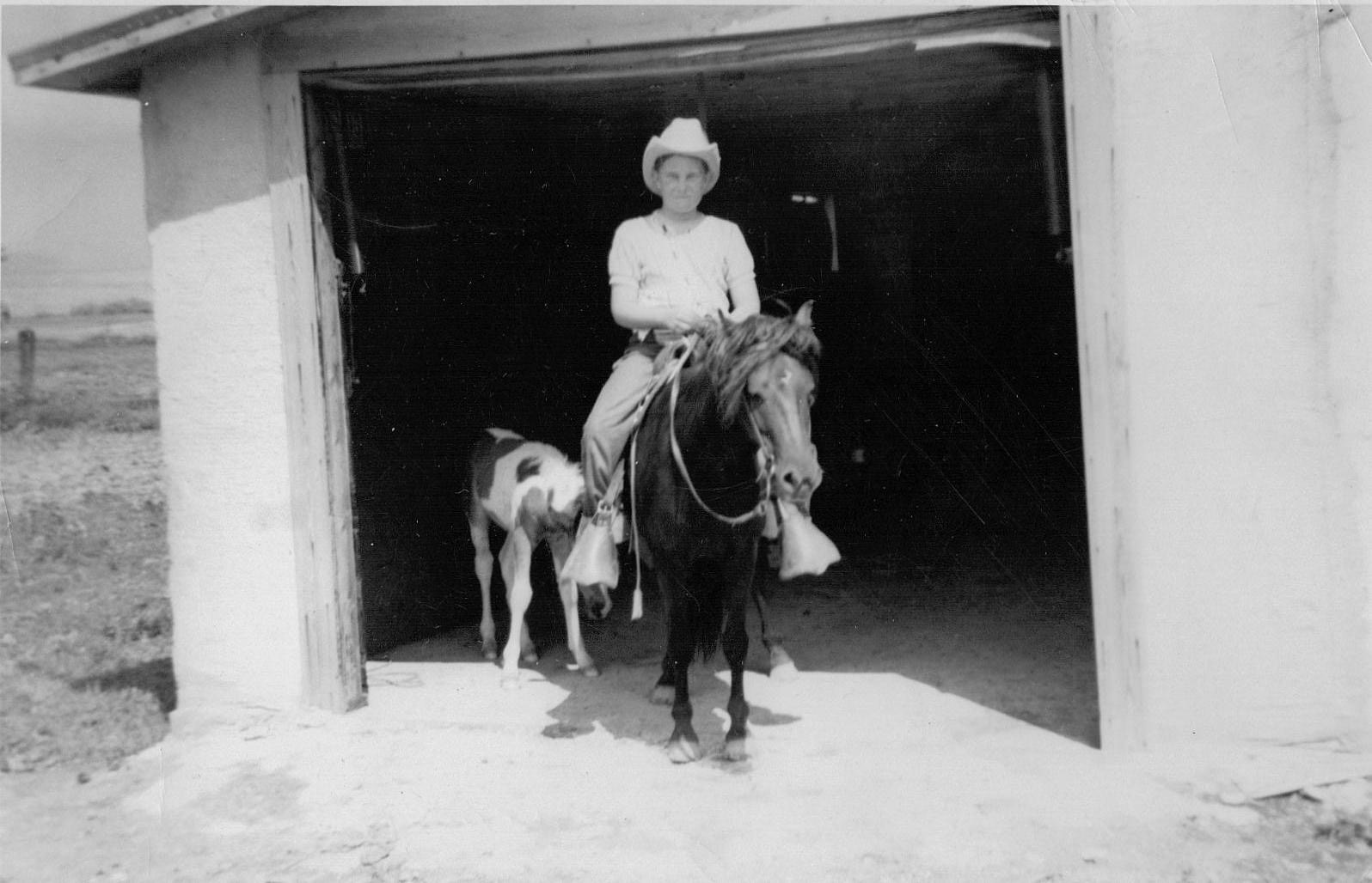 with a cowboy hat on and a foal next to him